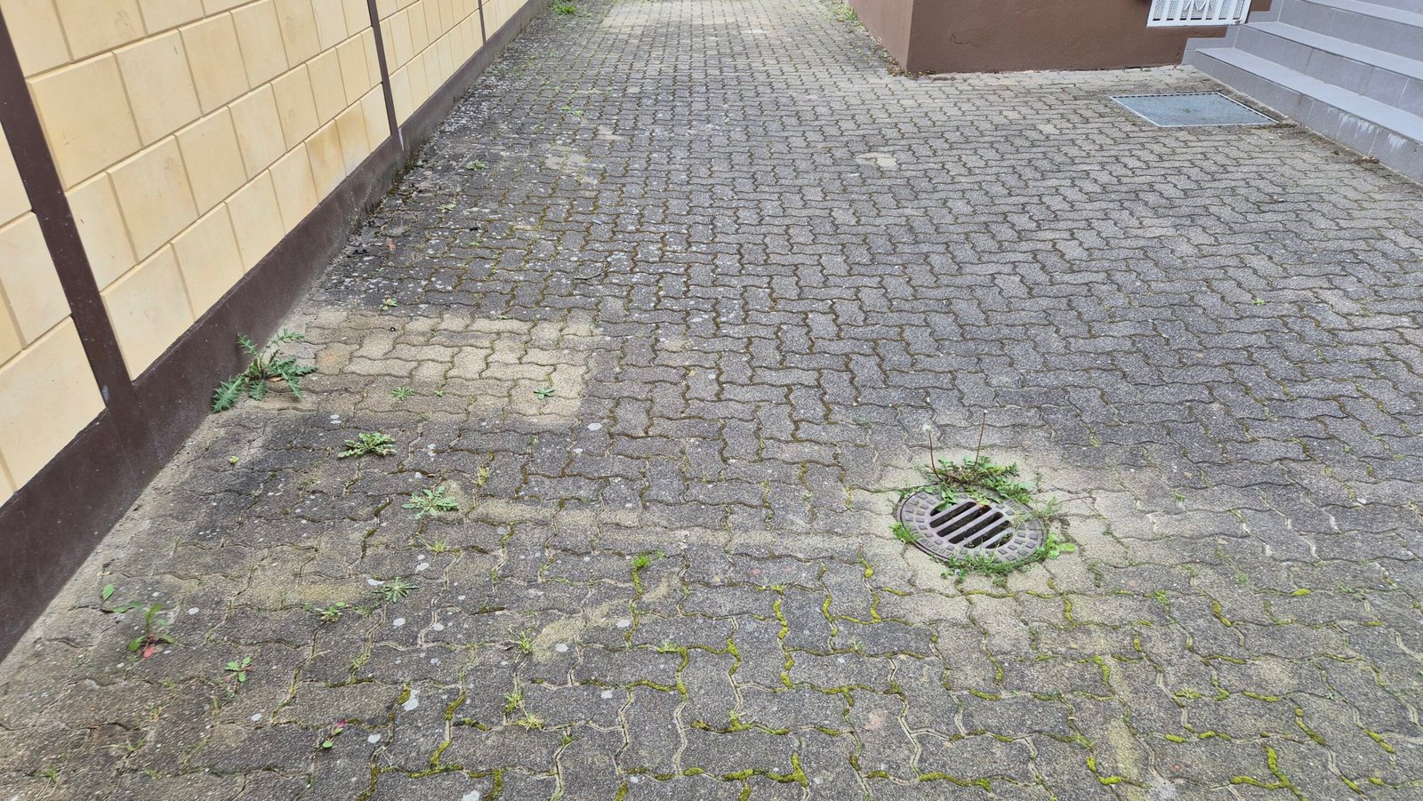 Referenzprojekt einer professionellen Steinreinigung – Ansicht 29